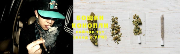 ПСИЛОЦИБИНОВЫЕ ГРИБЫ Балахна