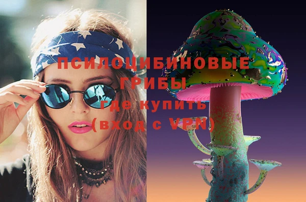 ПСИЛОЦИБИНОВЫЕ ГРИБЫ Балахна