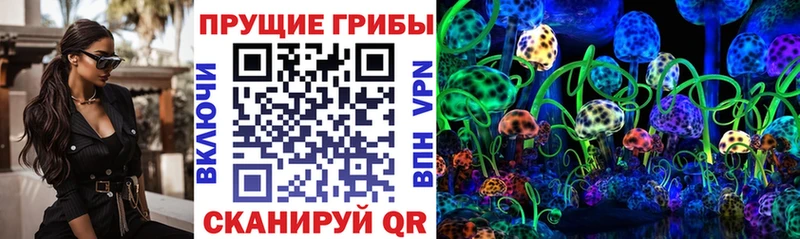 Галлюциногенные грибы Psilocybe  Нурлат 